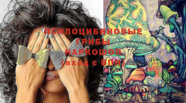 марихуана Абаза
