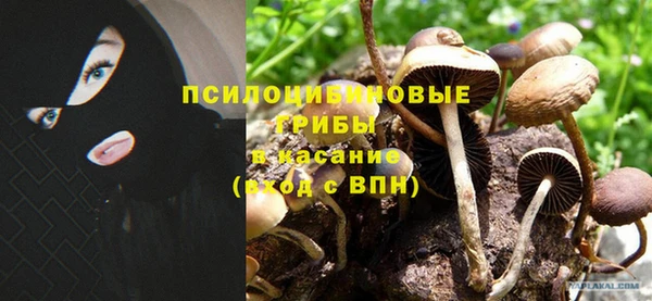 марихуана Абаза