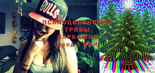 СК Абдулино