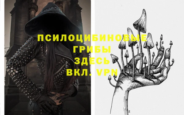 СК Абдулино